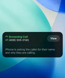 Фильтрация вызовов (Call Screening)