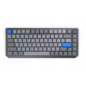 75% Wireless Mechanical Keyboard ENDORFY Thock V2 RGB Backlit Hot-Swappable