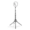 Apgaismojuma gredzens Hama SpotLight Steady 120 III Photo 2