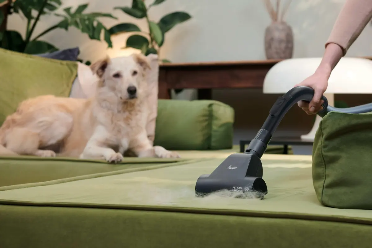 Пылесос Hoover HP210P 011 Photo 13