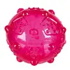 Мяч для собак Trixie 33677 Photo 3