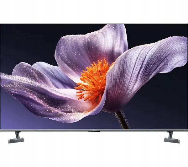 Television Xiaomi TV S Pro 65" Photo 8