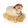 Interaktīvs rotaļlietu dinozaurs Spinmaster Jurassic World Primal Hatch Photo 3