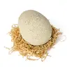 Interaktīvs rotaļlietu dinozaurs Spinmaster Jurassic World Primal Hatch Photo 9