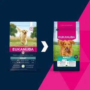 Sausais barības EUKANUBA Adult Large Breed Lamb & Rice 12 kg — pilnvērtīga sausā barība pieaugušiem lielu šķirņu suņiem