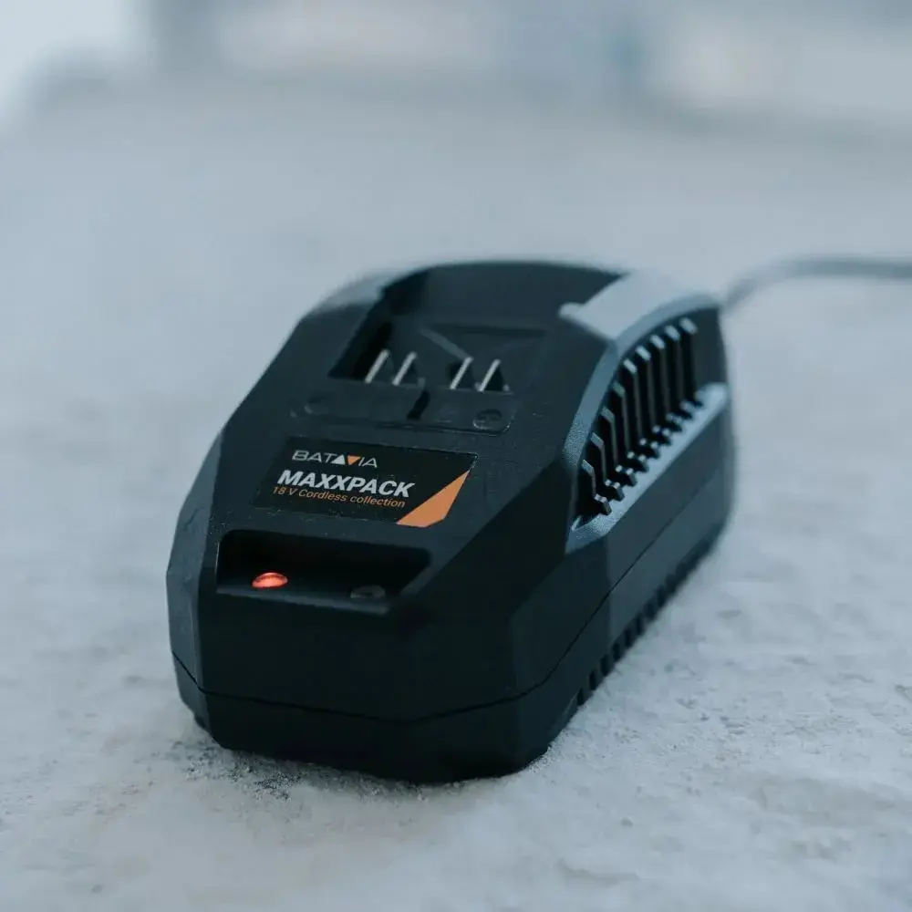 Batavia B.V. 18V 2.4A battery charger Photo 4