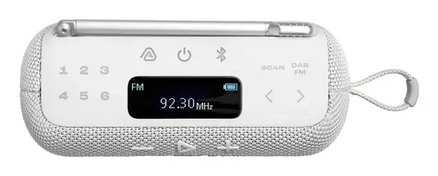 Portable Radio JBL Tuner 2 Black Photo 5