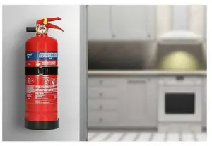 Ugunsdzēšamais aparāts Alecto BP-1 — pārnēsājams pulverveida 1 kg