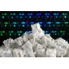 Gateron Clear Switches Glorious Gaming Photo 3