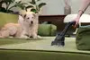 Пылесос с мешком HOOVER HE120PET 011 Photo 7