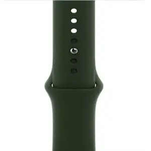 Силиконовый ремешок just must JM LIQUID SILICONE для Apple Watch 38/40/41 оливково-зеленый