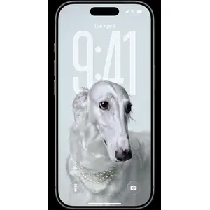 Всё необходимое. Всё в iPhone.