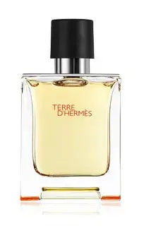 Туалетная вода Hermès Terre d'Hermes Photo 2