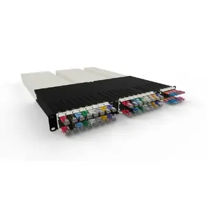 Color-Coded for Instant Recognition