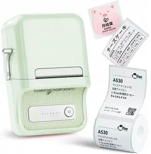 Pārnēsājams etiķešu printeris NIIMBOT B21S Mint Green ar Bluetooth savienojumu, kompakts termālais rokas printeris