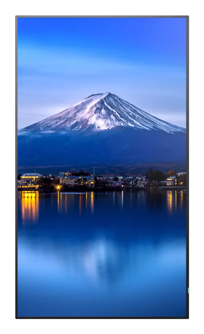 Профессиональный дисплей NEC MultiSync P556 55" 4K Ultra HD Photo 10