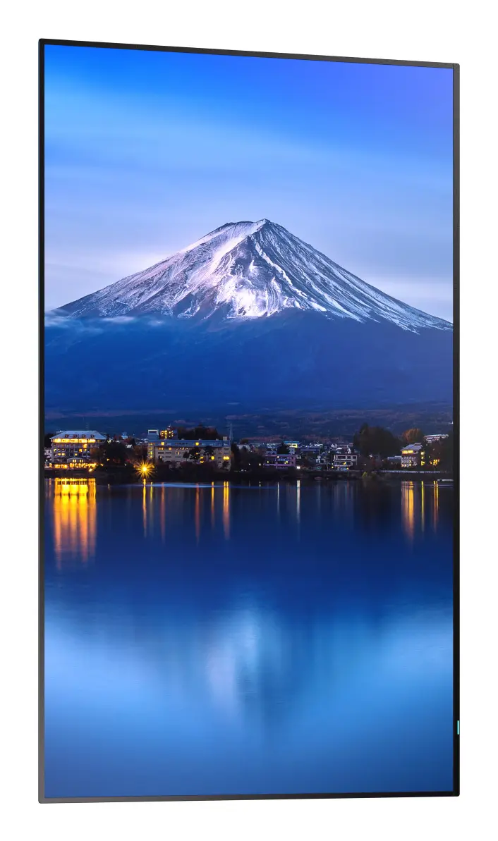 Профессиональный дисплей NEC MultiSync P556 55" 4K Ultra HD Photo 12