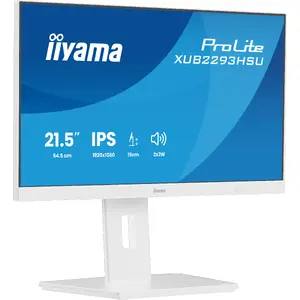 iiyama ProLite 21.5” IPS Monitor 100Hz Height Adjustable USB Hub
