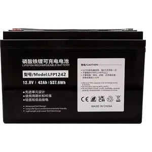Battery LiFePO4 extra digital TB922123 12.8V 42Ah — Lithium Iron Phosphate rechargeable battery