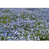 Tamron 70-180mm f/2.8 Di III VC VXD G2 для Nikon Photo 12