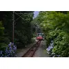 Tamron 70-180mm f/2.8 Di III VC VXD G2 для Nikon Photo 26
