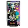 Кукла Monster High Scare-adise Island Фрэнки Штейн Photo 6