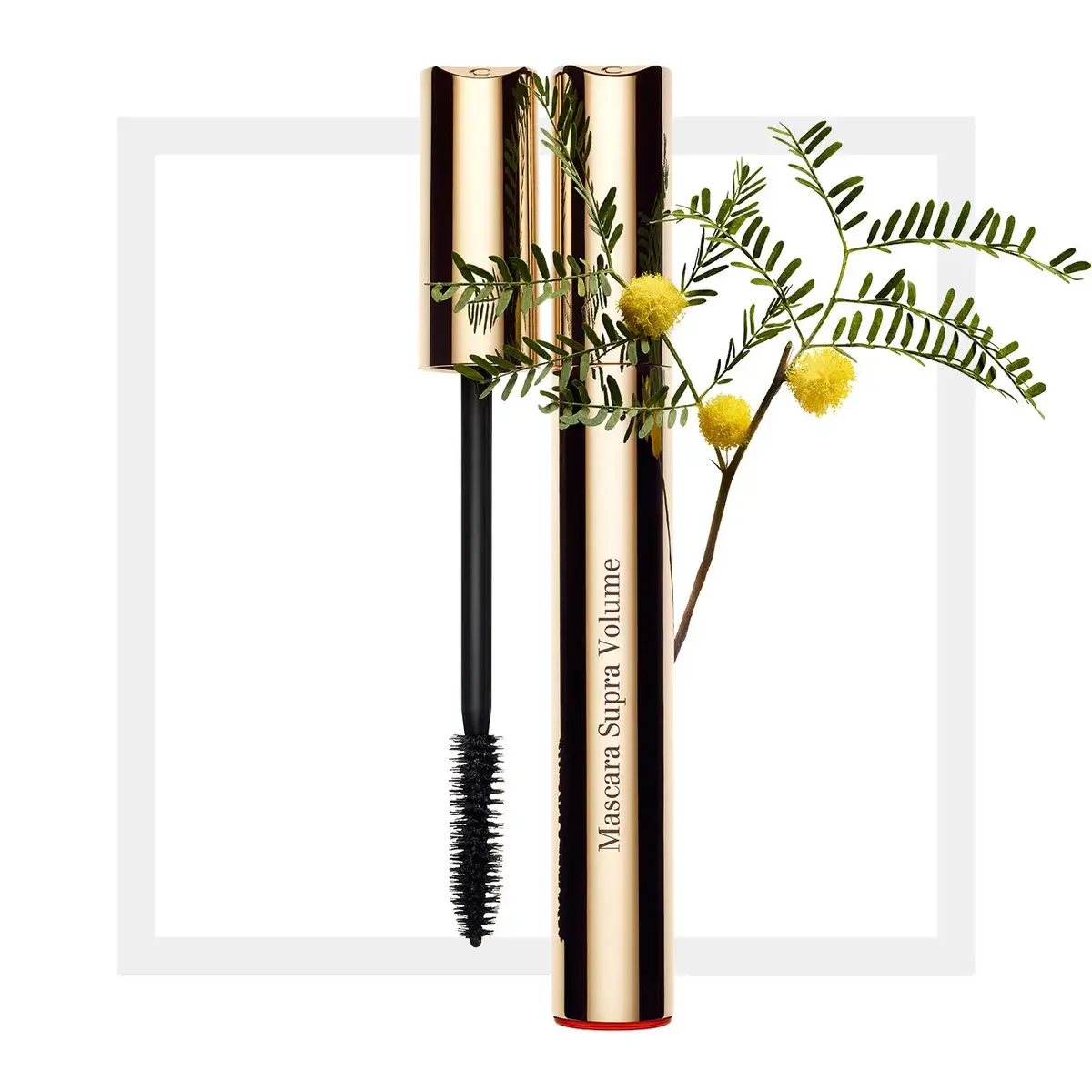 Skropstu tuša Clarins Supra Volume 01 Intense Black Photo 2
