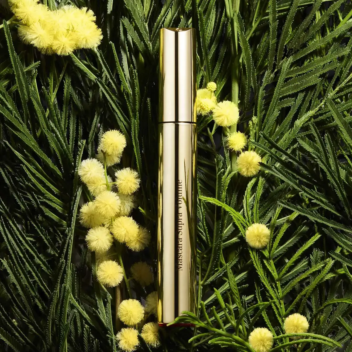 Skropstu tuša Clarins Supra Volume 01 Intense Black Photo 7