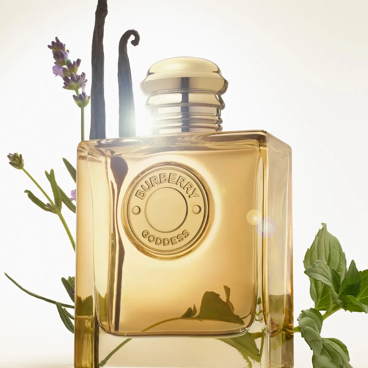 Парфюмерная вода Burberry Goddess Intense для женщин Photo 3