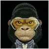 Чехол Nimmy Cool&Cute 2.0 Gorilla для iPhone 17 Pro Max Photo 3