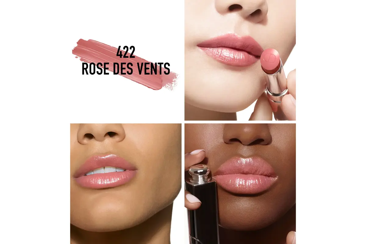 Помада Dior Addict Rose des Vents 422 Photo 2