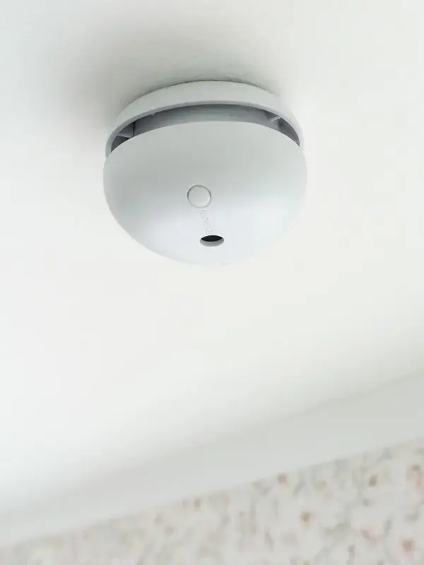 Smoke Alarm Housegard Pebble Mini Photo 3