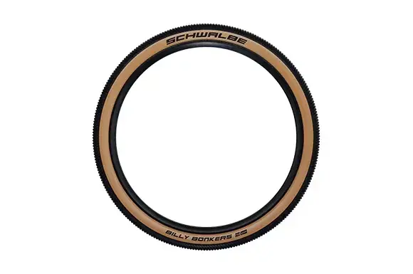 Трубчатая шина Schwalbe 11654376 Photo 3
