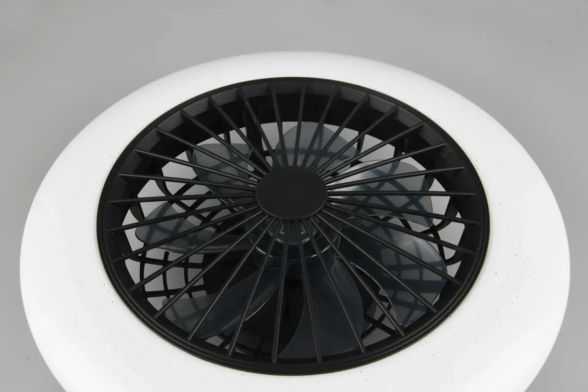 Griestu LED ventilators TRIO Stralsund, 50 cm, 30 W, matēti melns Photo 2