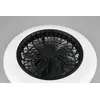 Griestu LED ventilators TRIO Stralsund, 50 cm, 30 W, matēti melns Photo 2