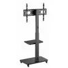 Напольная стойка GEMBIRD TVS-75S-02 для 37–75" Photo 2
