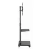 Напольная стойка GEMBIRD TVS-75S-02 для 37–75" Photo 4