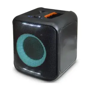 Portable speaker Nedis SPPT2450BK — 150W power, Bluetooth, rechargeable battery