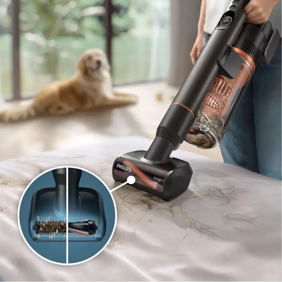 Bezvada putekļu sūcējs Philips XC7163/01 Photo 3