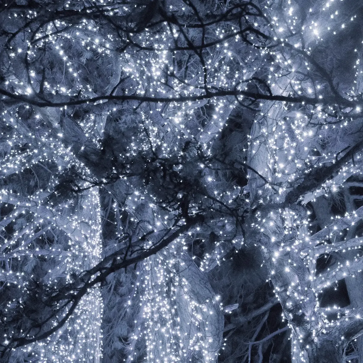String Lights Springos CL0547 — 500 LEDs Photo 6