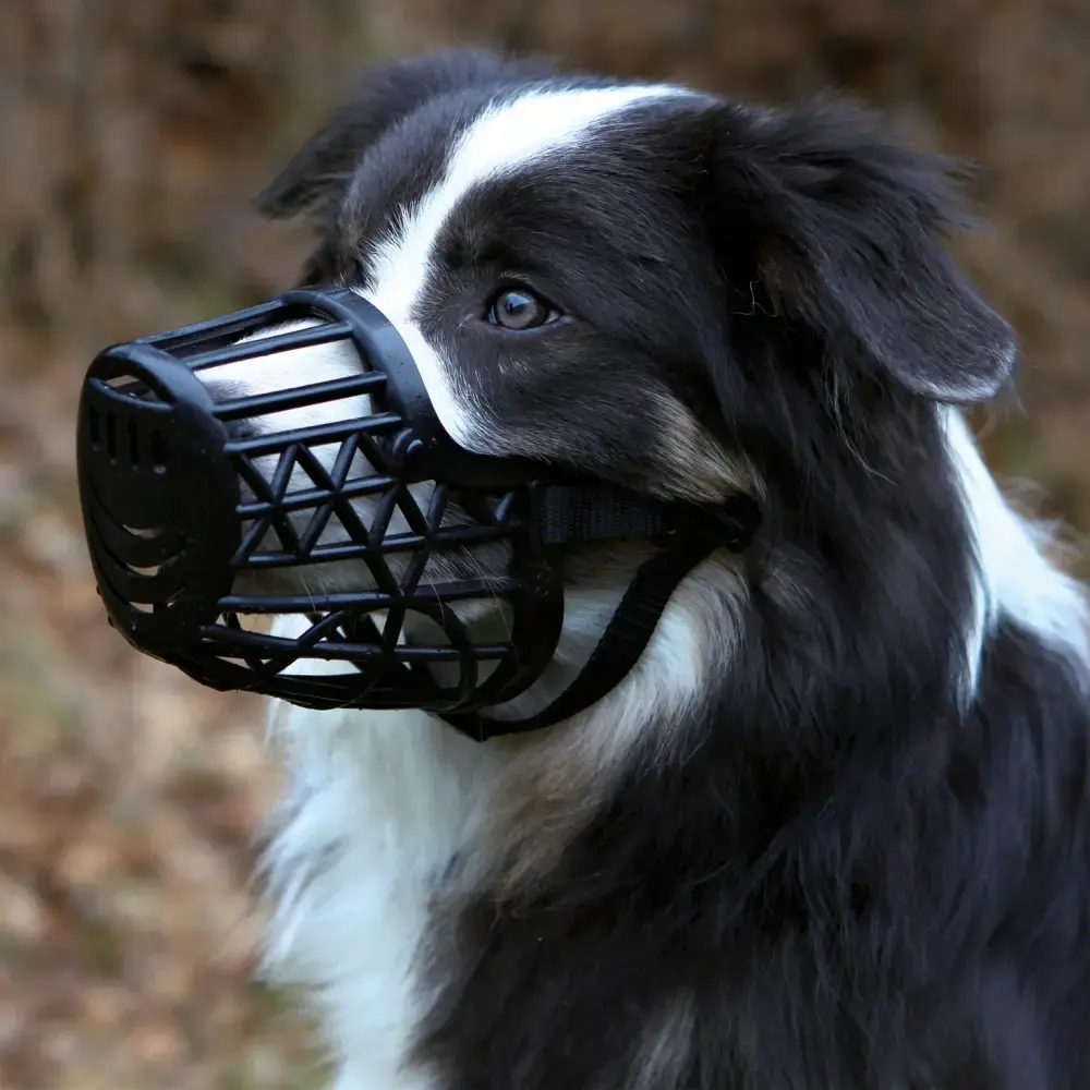 Groza mutes Trixie 17606 Photo 2
