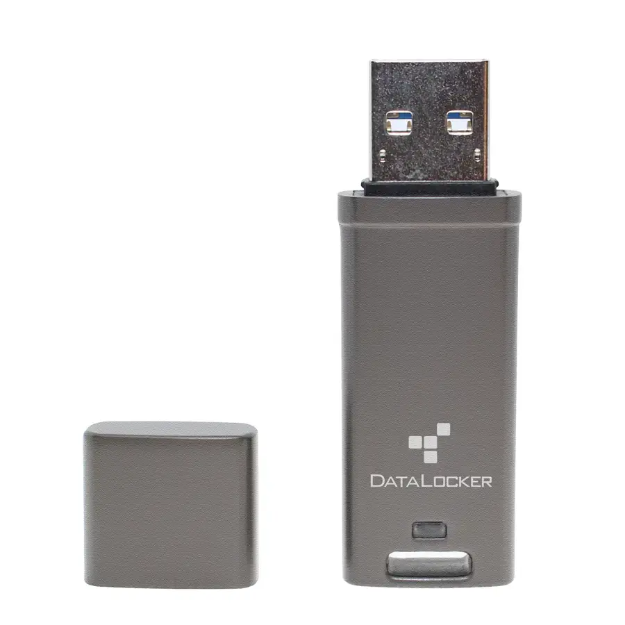 USB zibatmiņa DataLocker DL GO 64GB Photo 3