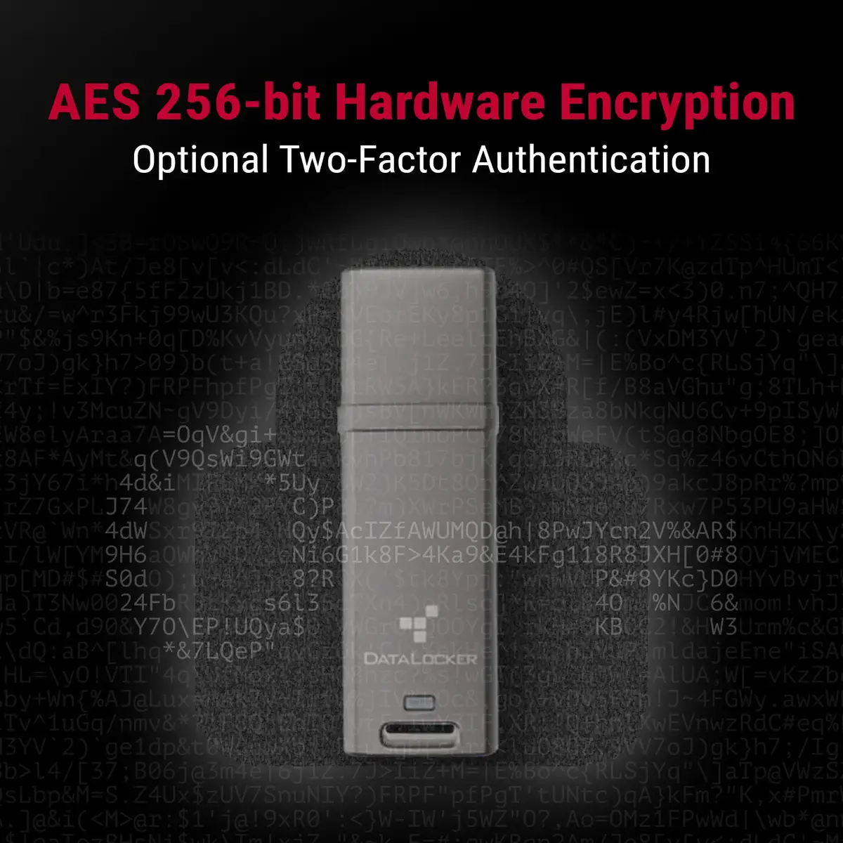 USB zibatmiņa DataLocker DL GO 64GB Photo 8