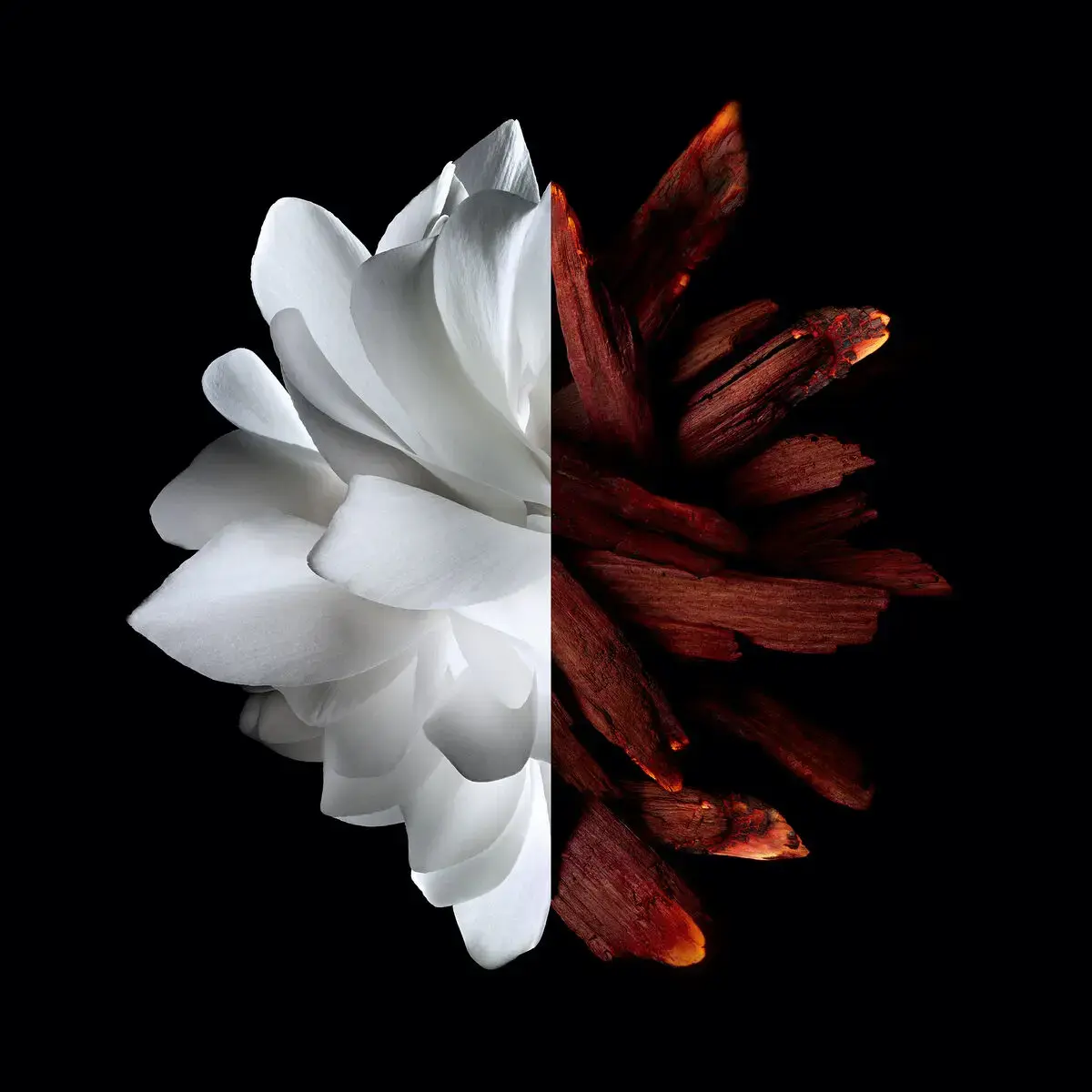 Парфюмированная вода Givenchy L'Interdit Rouge Photo 2