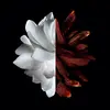 Парфюмированная вода Givenchy L'Interdit Rouge Photo 2
