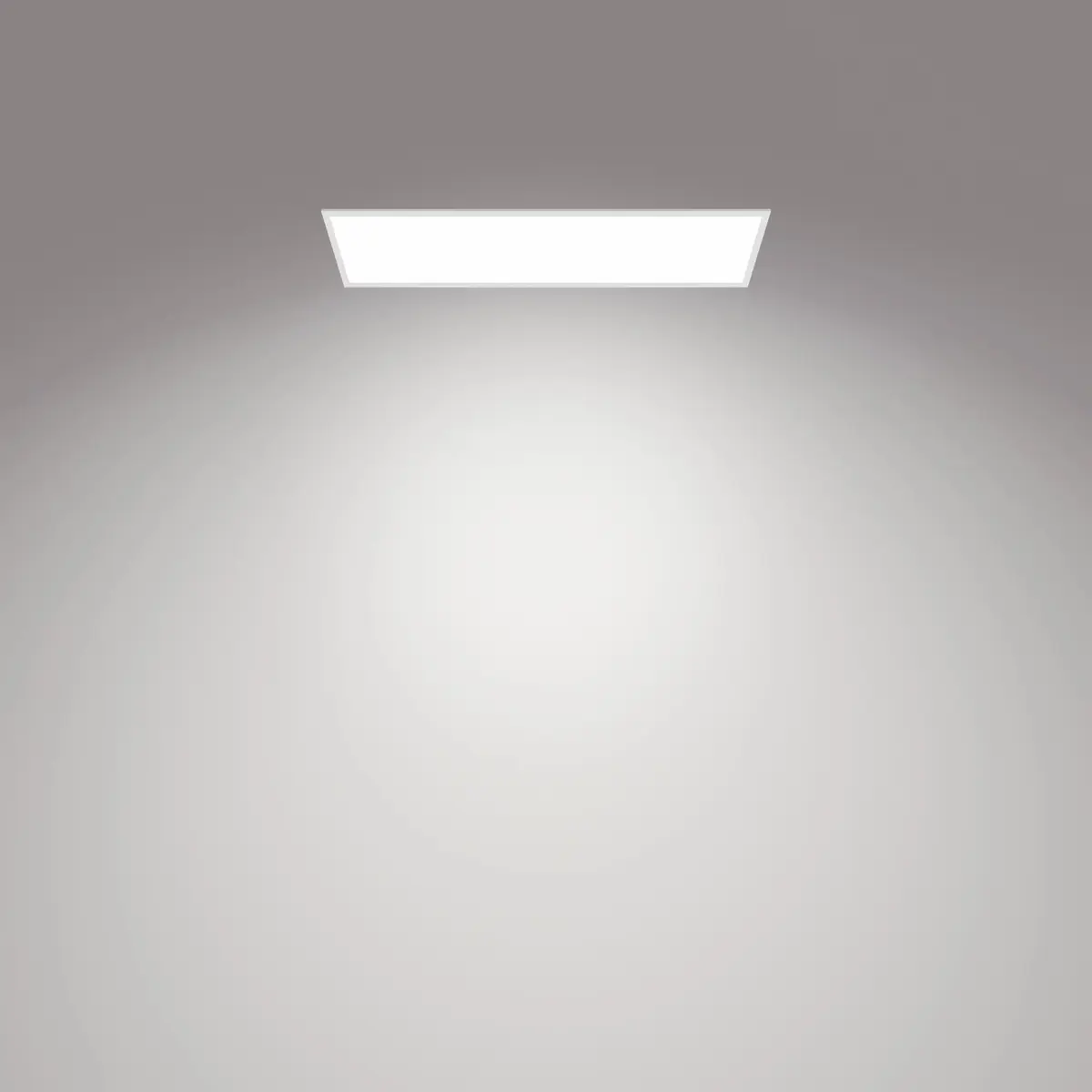 Ceiling Light Philips Functional Panel 36W Photo 2