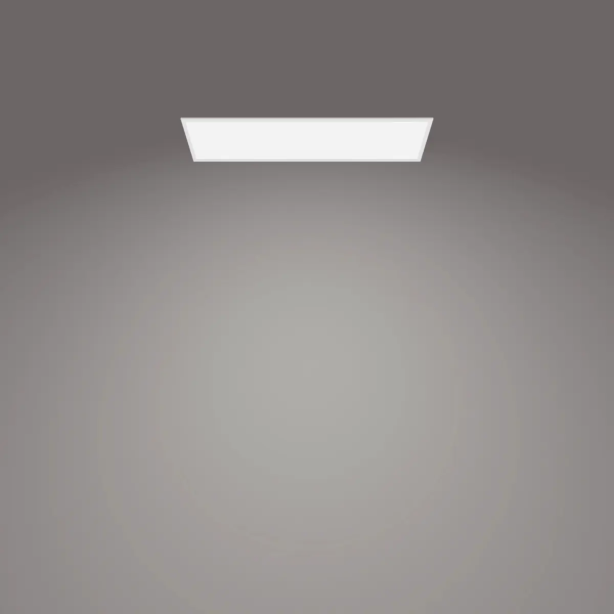 Ceiling Light Philips Functional Panel 36W Photo 3