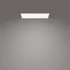 Ceiling Light Philips Functional Panel 36W Photo 3