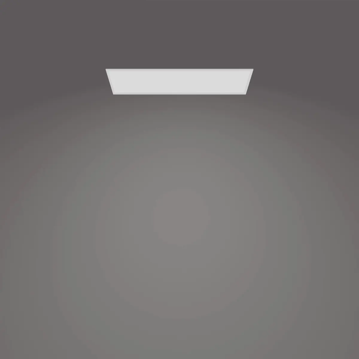 Ceiling Light Philips Functional Panel 36W Photo 4