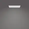 Ceiling Light Philips Functional Panel 36W Photo 4